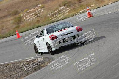 media/Nov-18-2023-Extreme Speed (Sat) [[10c227f63a]]/2-Green/Rear shots/
